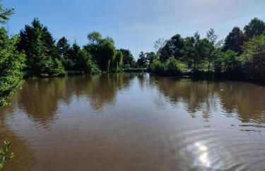 Alte Goldschmiede Südpfalz - Foto 55