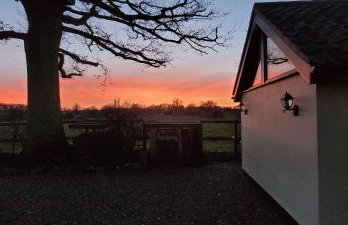 The Acorn - Roudham Norwich - Foto 35