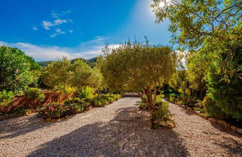 Club Villamar - Stralitzia - Foto 8