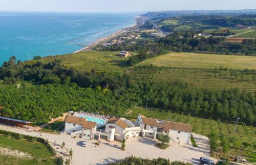 CONTEA DEI CILIEGI (official) - Foto 8