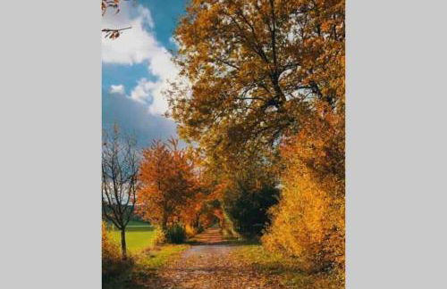 Einzigartiges Ambiente im ScheunenLoft - Foto 30