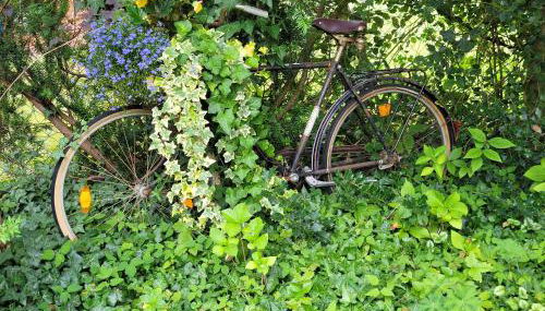 Ferienwohnung Reiners - Foto 4, Garden