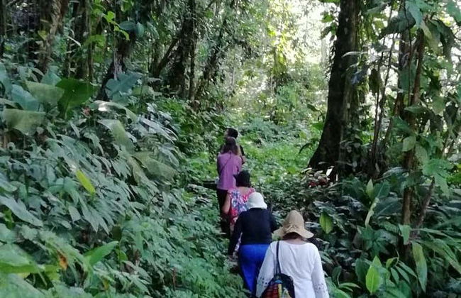 River Tundó Canoe Trip - Photo 3