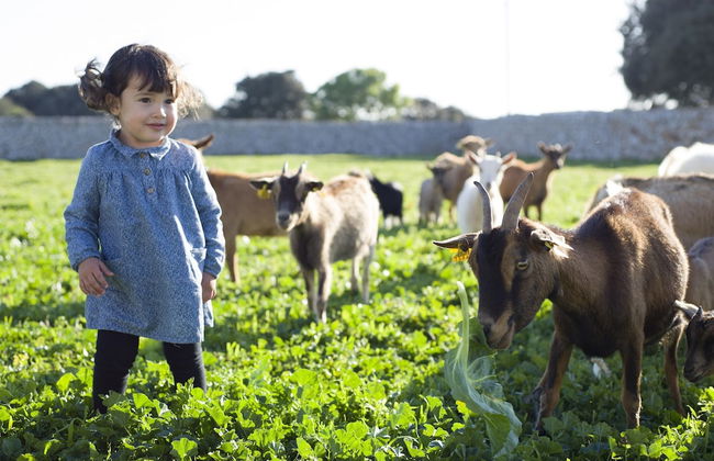Agroturismo Llucmaçanes Gran - Foto 33
