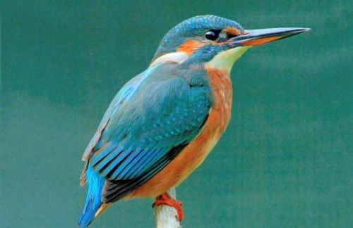 Little Norton Mill - Photo 71