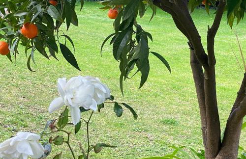 Monolocale COCO74 - Foto 22