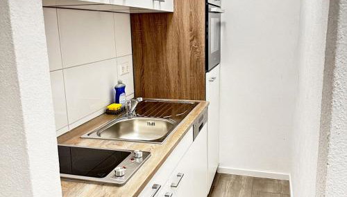 Schöne Ferienwohnungen mit Balkon in Lichtenstein - Foto 4, stove