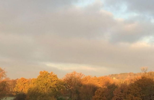 Oak House Farm - Foto 20