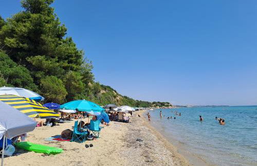 ΕΞΟΧΙΚΗ ΚΑΤΟΙΚΙΑ ΜΕ ΑΥΛΗ - Foto 18