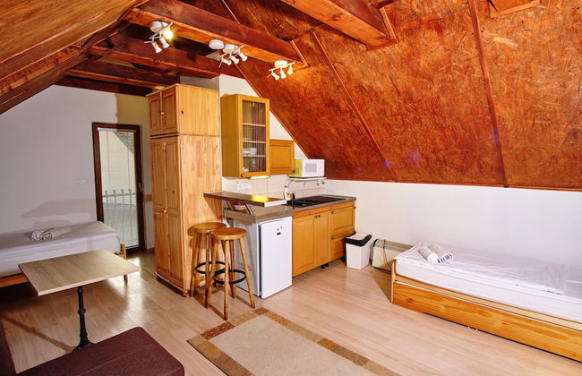 Apart & Wellness Hotel VILLA IVICA - Foto 68