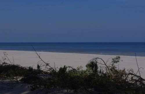 Stilove Wydmy - Foto 20