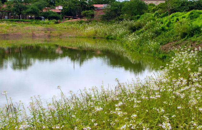 Excursão privada a Tapuio e à Casa de Mulheres Artesãs de Marcelino - Foto 7