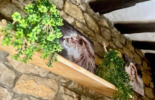 Apartamentos Nel I - Foto 24