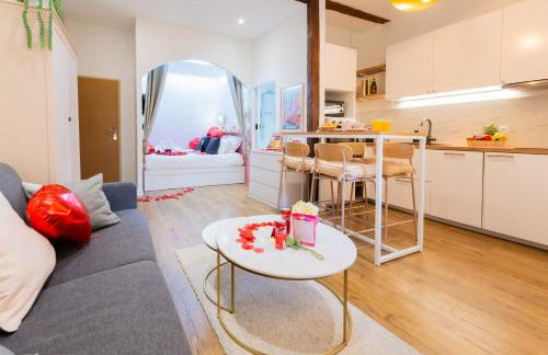 Studio Toulouse Capitole La Voute Rose - Photo 17