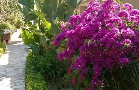 Scopello Dream House - Foto 29