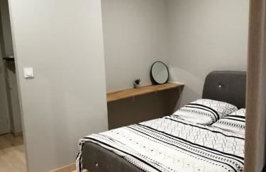 Charmant Appartement Muret Centre - Foto 3