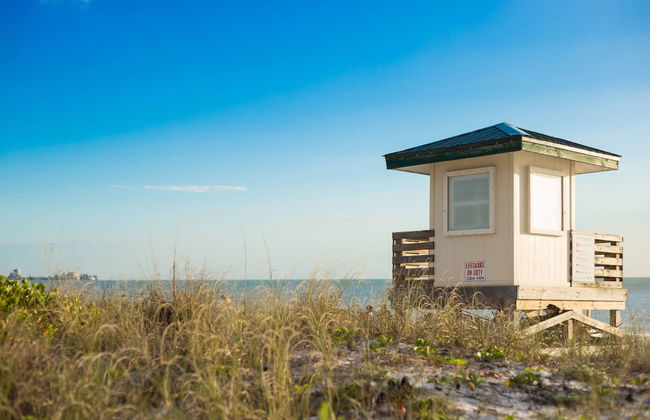 Kingston Arms Modern 1BR On Lido Key - Foto 51