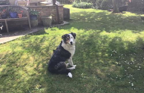 The Stable Poplar Farm - Foto 14