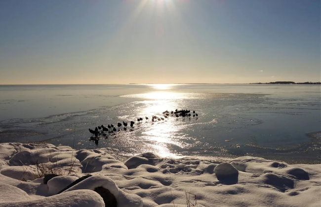Ferienwohnungen Blaues Haus, Putbus - Foto 26