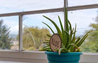 #StayinMyDistrict Heritage House Apt - Foto 35