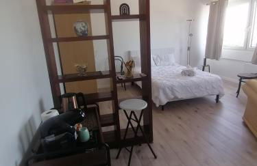 Entre 2 Rives Strasbourg-Kehl - Foto 11