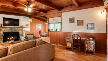 Orange Door Electric Fireplace bbq - Photo 5