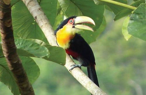 Blue House em Condomínio Fechado - Foto 19