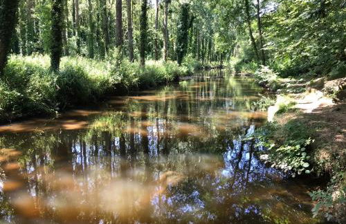 Apt de charme, les pieds dans l'eau - Foto 26