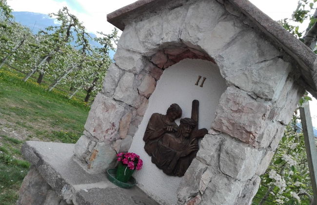 Agriturismo NonSoloMele - Photo 46