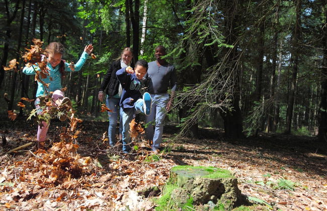 Tidy Furnished Chalet With a Dishwasher - Foto 28