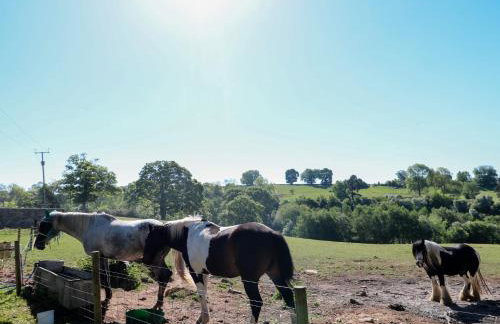 The White Cloud Bus - Foto 24