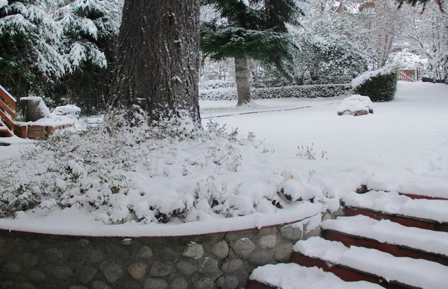 La Ponderosa Apart Hotel - Photo 50