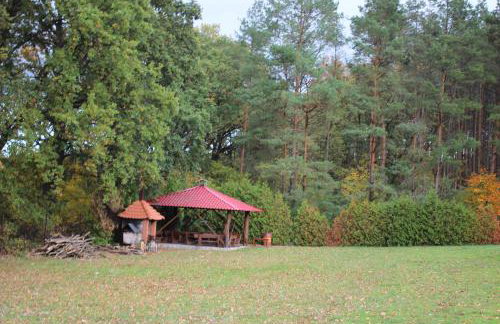 Gospodarstwo Agroturystyczne Agroletnica - Foto 105