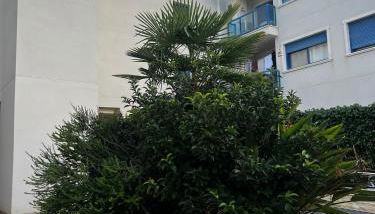 Alicante Hills - Photo 3