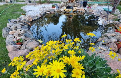 Villa Pancorbo - Foto 15