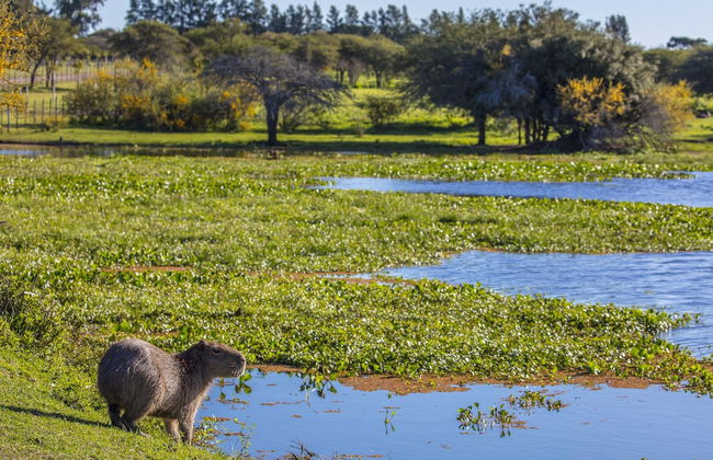 Estancia San Agustín - Foto 11