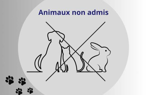 La Bamboche - Gîte et salle en option - Foto 34