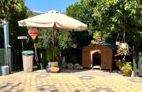 Iris-Gogo House - Foto 36