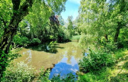 The Duck House - Foto 28