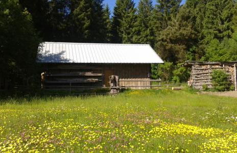 Ferienwohnung GABI - Foto 29