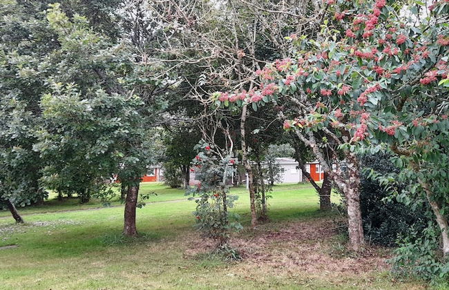 Sheena's Dartmouth Chalets - Foto 58