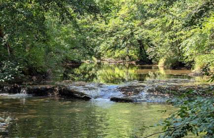 Mas 5 étoiles Cévennes - 4h30 de Genève - Calme absolu et Nature - Piscine 12m - Foto 22