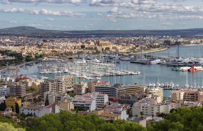 Gomila Palma Apartments - New Opening - Photo 52