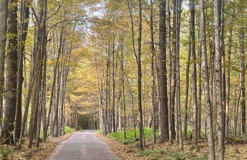 Modern Retreat with Sauna between Stowe and Waterbury - Foto 10