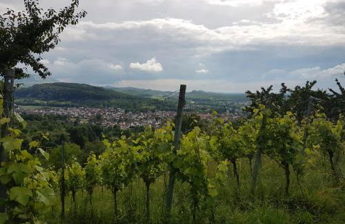 Ferienwohnung Burgblick im Neuffener Tal mit Sauna und Wallbox - Foto 45