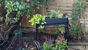 Pretty in Pink - delightful, cosy chichester house - Foto 2