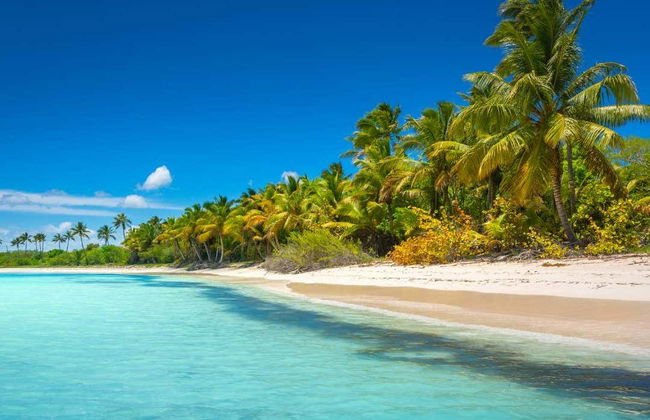 Excursion sur l'île Saona + fleuve Chavón - Photo 1