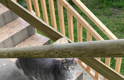 Casa Calicanto - Foto 6