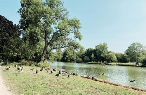 Stylish 2 Bedrooms near Metro 1 King bed & quiet retreat - Foto 17