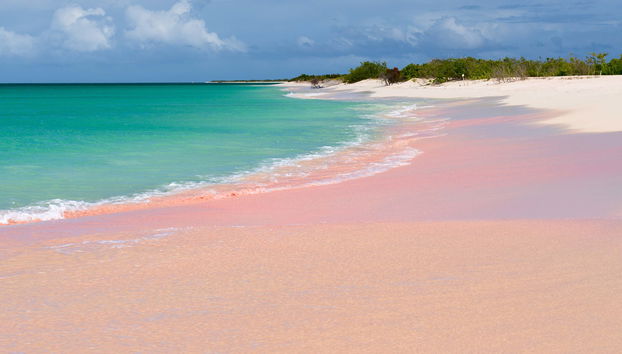 Escursione all'isola di Barbuda